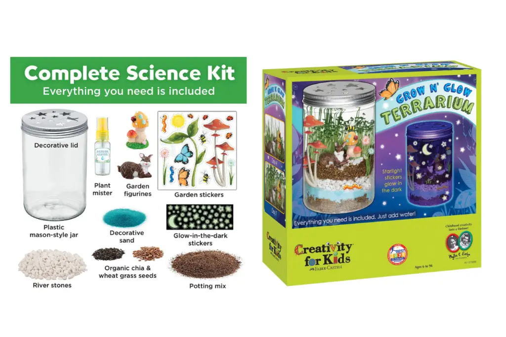 grow and glow terrarium- non toy gift ideas for kids 