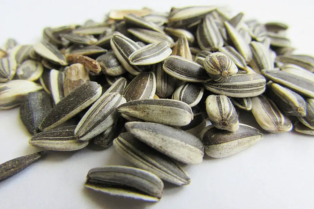 sunflower seeds for extra relaxation